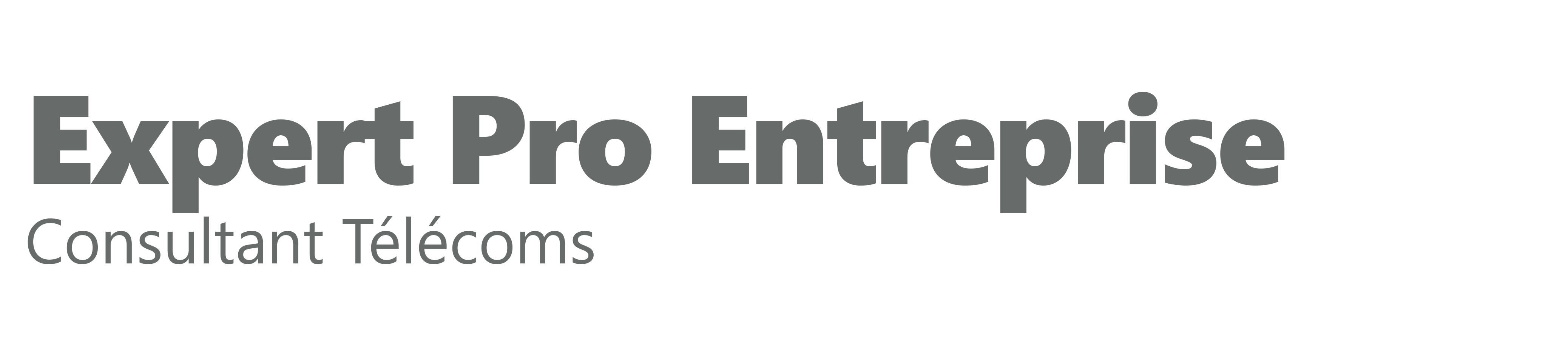 Expert Pro Entreprise